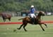 100106-Polo-1-0178