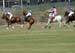 100106-Polo-1-0179
