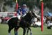 100106-Polo-1-0200