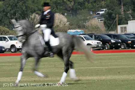 100106-Polo-2-0058