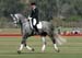 100106-Polo-2-0005
