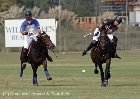 100106-Polo-3-0029