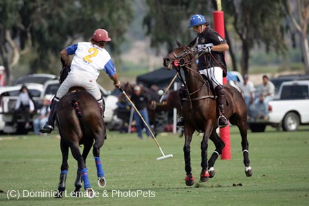 100106-Polo-3-0034