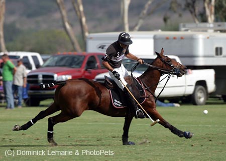 100106-Polo-3-0117