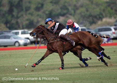 100106-Polo-3-0144
