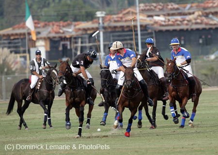 100106-Polo-3-0165