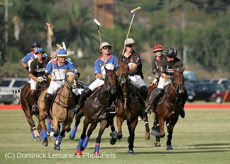 100106-Polo-4-0026