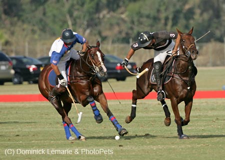 100106-Polo-4-0031