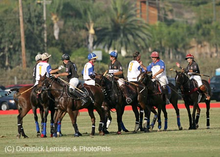100106-Polo-4-0042