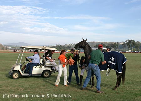 100106-Polo-4-0059