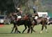 100106-Polo-4-0035