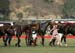 100106-Polo-4-0047
