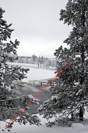 122507-YNP-342