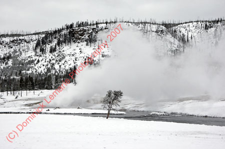122507-YNP-358