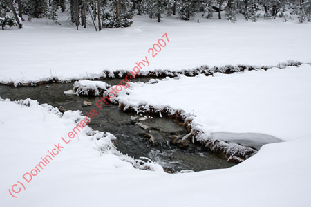 122507-YNP-373