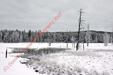 122507-YNP-425