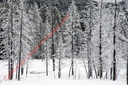 122507-YNP-427