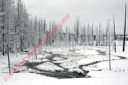 122507-YNP-432