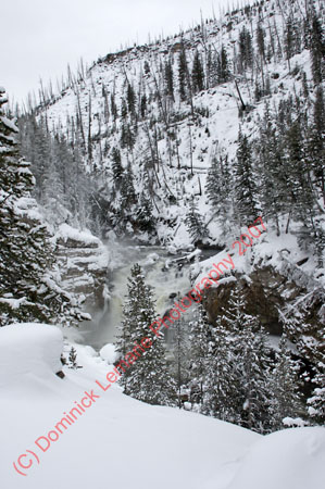 122507-YNP-464