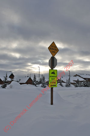 122507-YNP-532