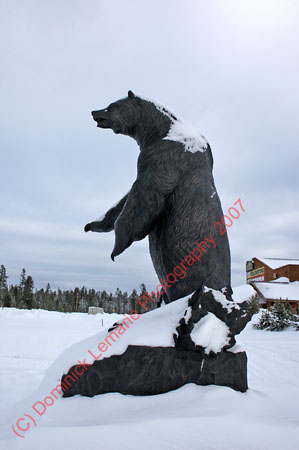 122507-YNP-533