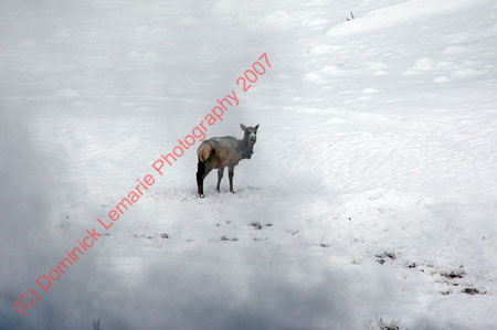 122607-YNP-102
