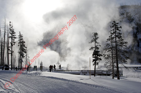 122607-YNP-219