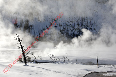 122607-YNP-244
