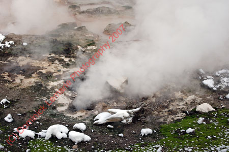 122607-YNP-298