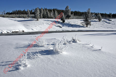 122607-YNP-359