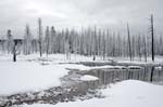 122507-YNP-449