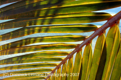 2007-Polynesia-029