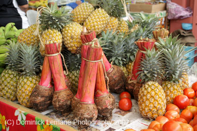 2007-Polynesia-081