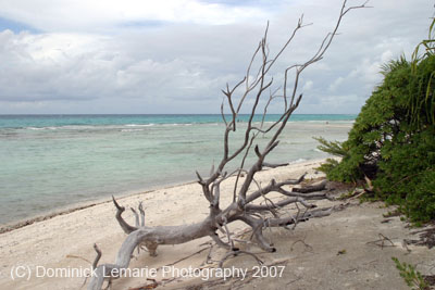 2007-Polynesia-087