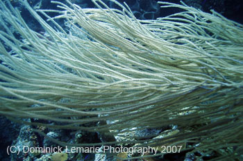 Belize-2007-2211