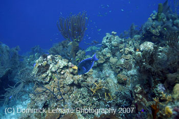 Belize-2007-2217