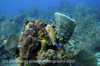 Belize-2007-2220