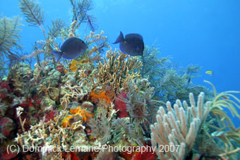 Belize-2007-2268