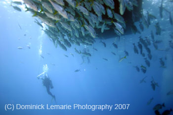 Belize-2007-2299
