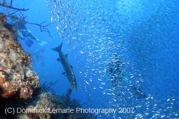 Belize-2007-2433