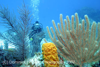 Belize-2007-2787