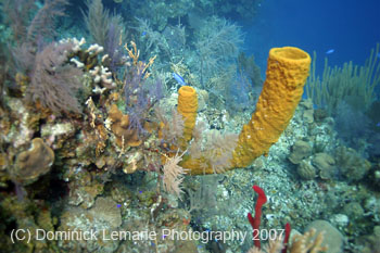 Belize-2007-2978