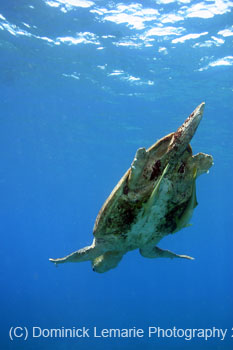 Belize-2007-3190