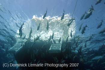 Belize-2007-3231