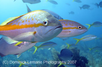 Belize-2007-3285