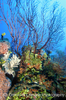 Belize-2007-3504