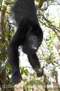 Belize-2007-3604