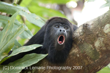 Belize-2007-3645