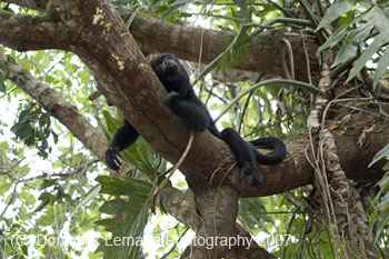 Belize-2007-3650