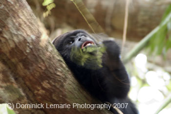 Belize-2007-3651